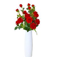 uploads/erp/collection/images/Home Garden/CongDing/XU0612502/img_b/XU0612502_img_b_5